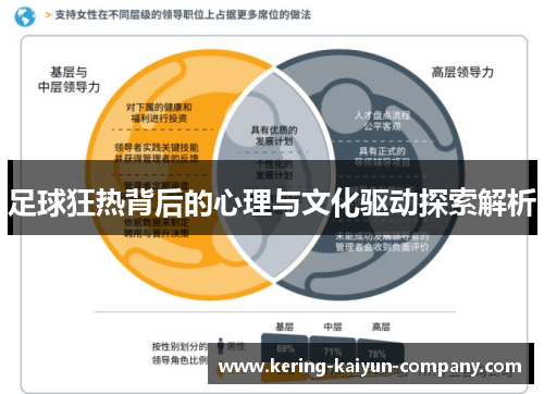 足球狂热背后的心理与文化驱动探索解析