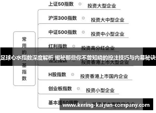 足球心水指数深度解析 揭秘那些你不曾知晓的投注技巧与内幕秘诀