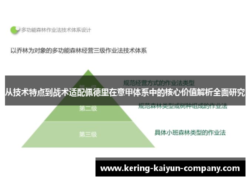 从技术特点到战术适配佩德里在意甲体系中的核心价值解析全面研究 从技术特点到战术适配佩德里在意甲体系中的核心价值解析全面研究