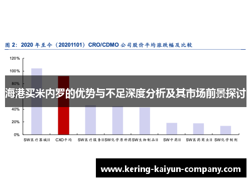 海港买米内罗的优势与不足深度分析及其市场前景探讨