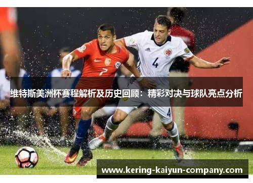 维特斯美洲杯赛程解析及历史回顾：精彩对决与球队亮点分析