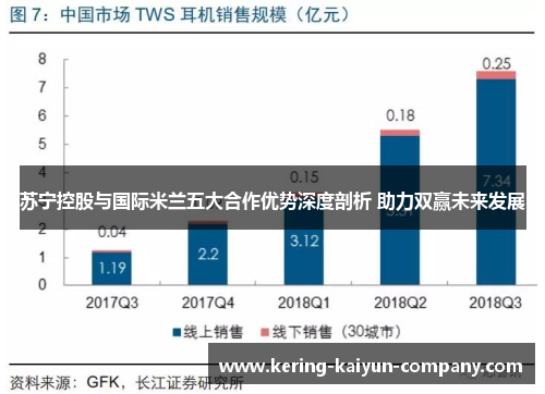 苏宁控股与国际米兰五大合作优势深度剖析 助力双赢未来发展